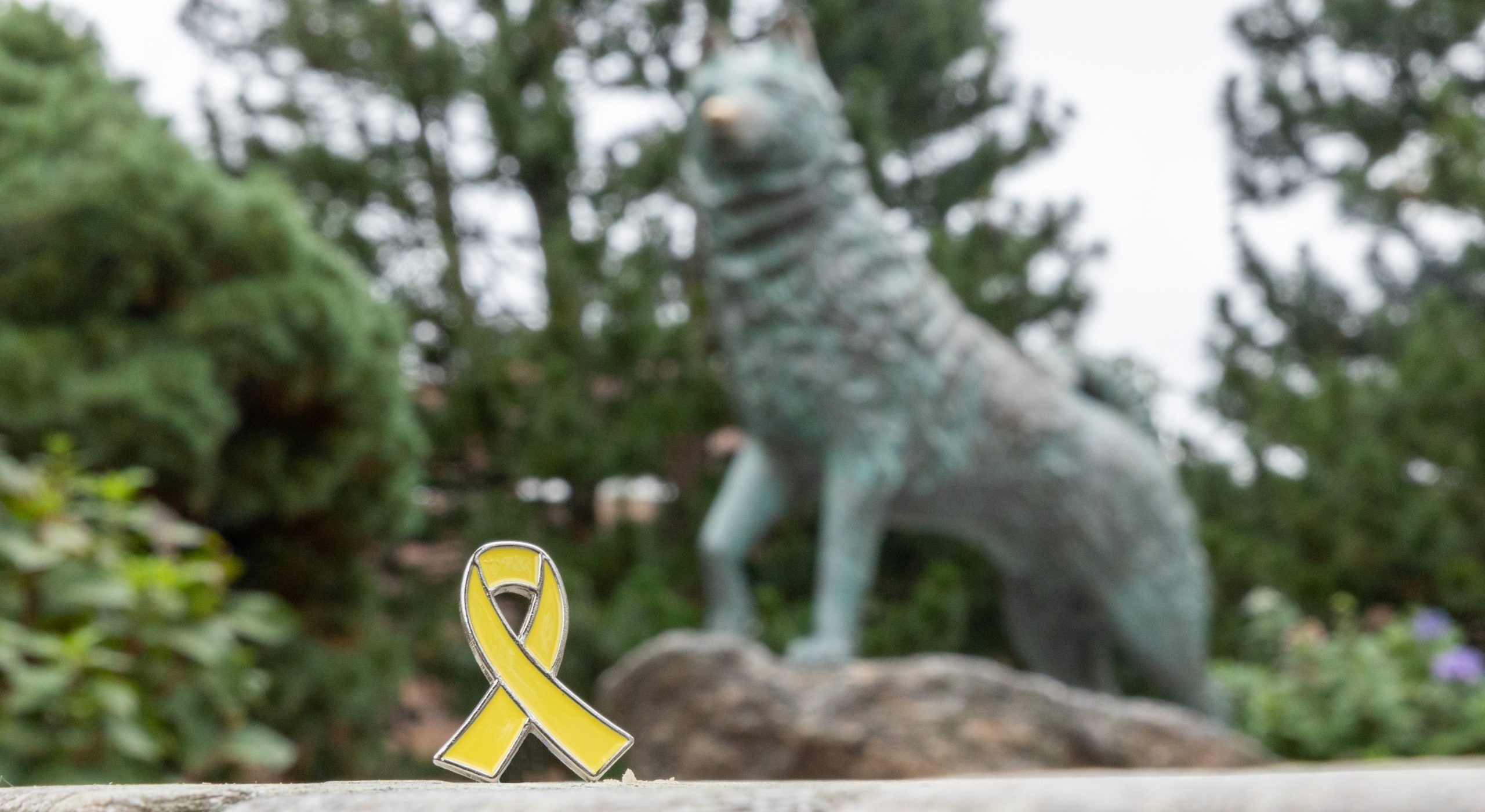 A yellow awareness ribbon pin rests on a stone ledge in the foreground, with a Husky statue blurred in the background. Trees and greenery surround the statue, creating an outdoor campus setting.