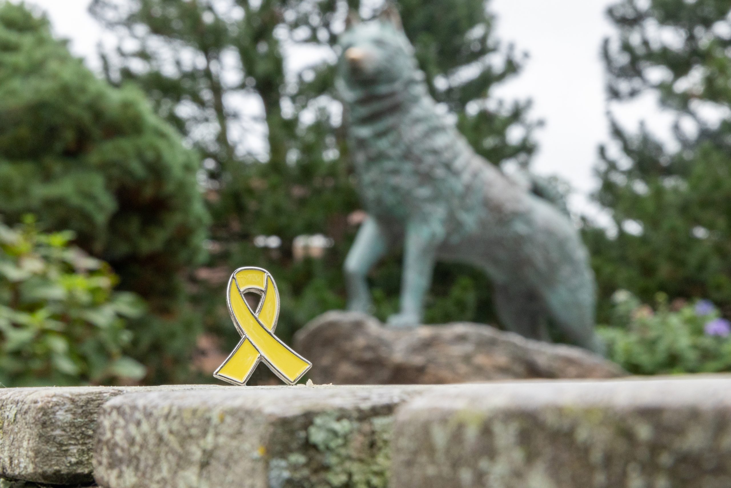 A yellow awareness ribbon pin rests on a stone ledge in the foreground, with a Husky statue blurred in the background. Trees and greenery surround the statue, creating an outdoor campus setting.