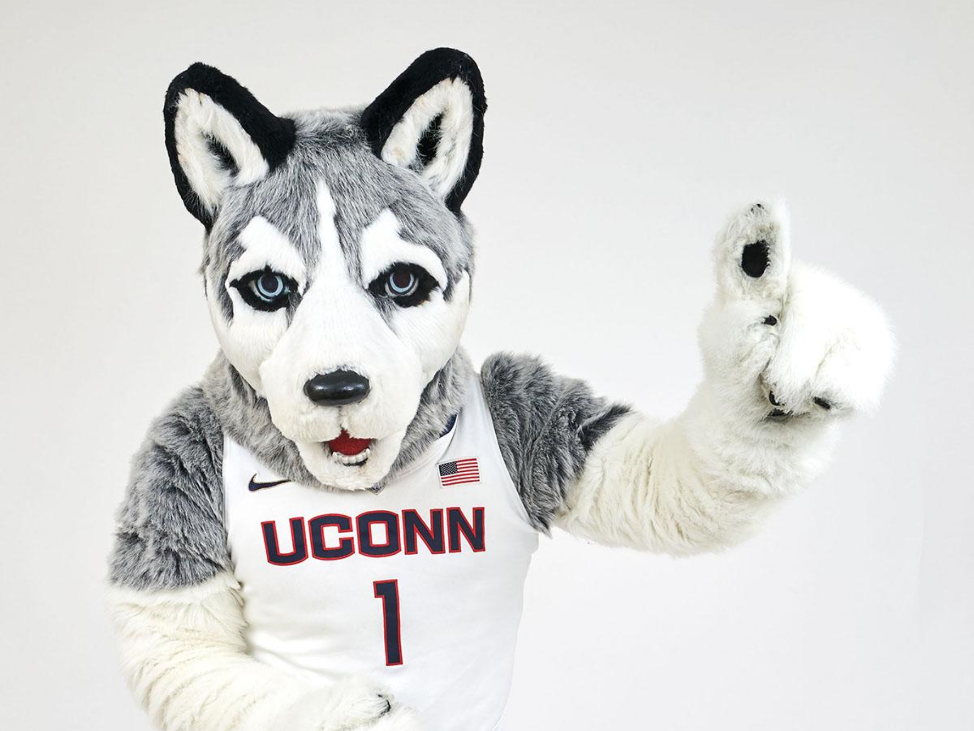 A husky mascot wearing a UConn jersey raises one finger against a plain background