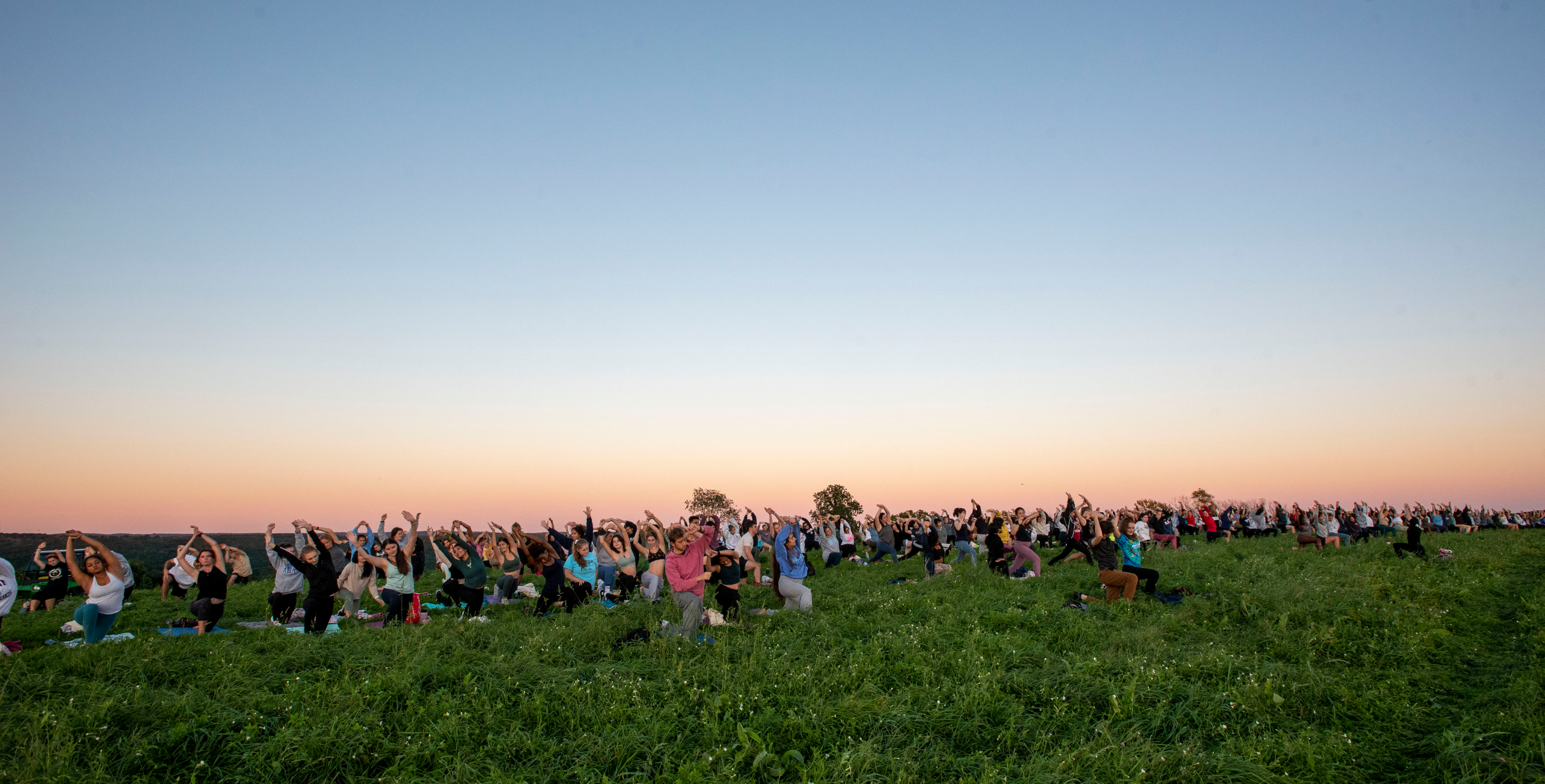 Large group of students participating in an outdoor yoga session on a grassy field at sunset.