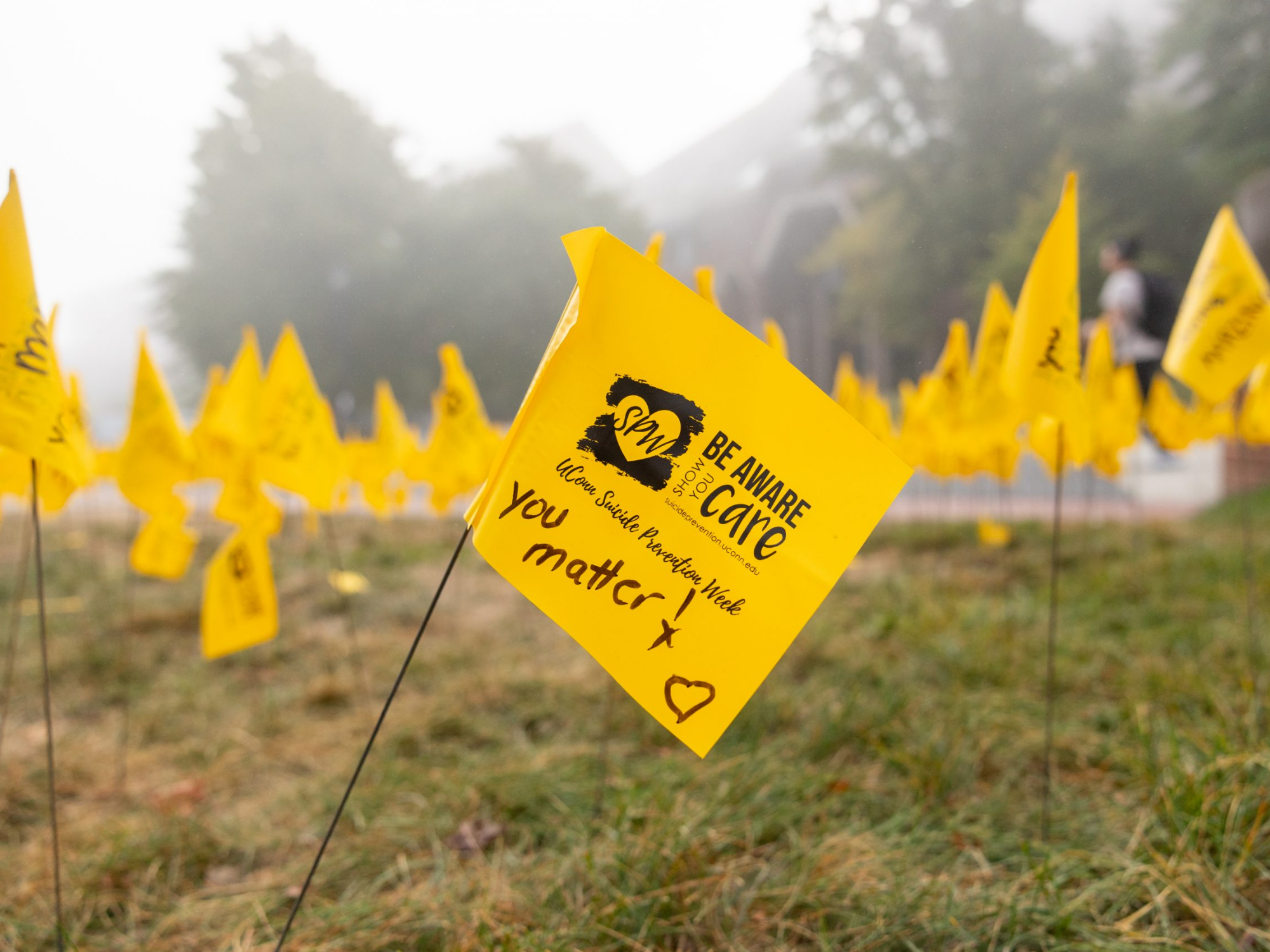 Yellow “Be Aware, Show You Care” suicide prevention flags placed in grass on campus during UConn Suicide Prevention Week with a message reading “You matter.”